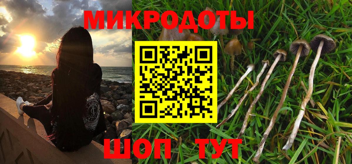 Псилоцибиновые грибы Magic Shrooms  Вход с VPN  Зима 