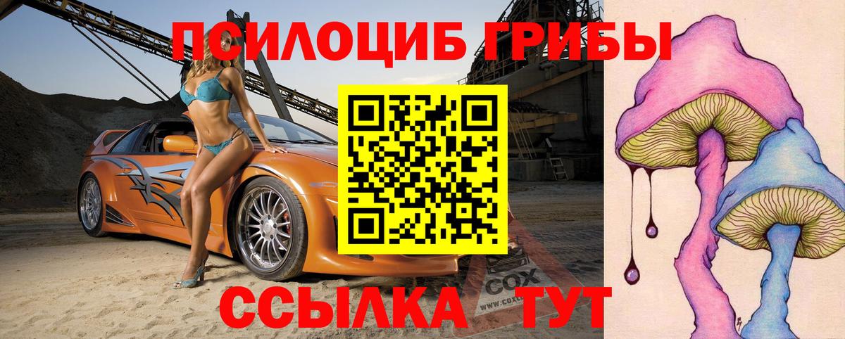 Псилоцибиновые грибы мицелий Зима